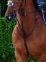 Dyon_martingaal__504ef4e588e71.jpg